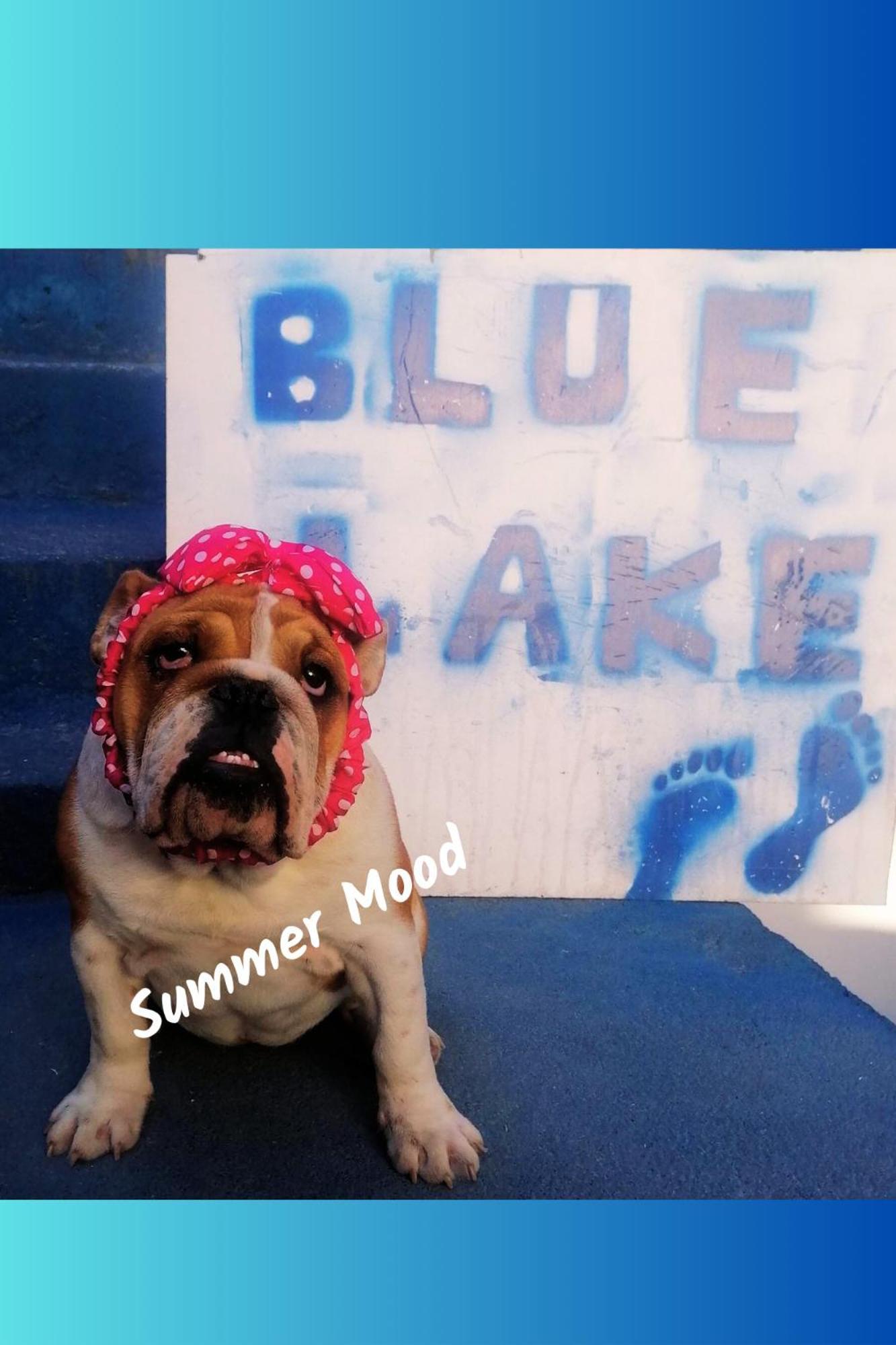 Blue Lake Hostel أوهغيد المظهر الخارجي الصورة